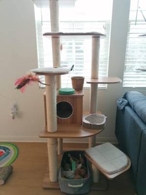 Customer Photos